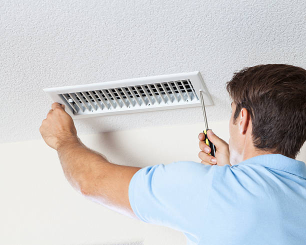 Best Mold Remediation for Healthcare Facilities  in West Point, VA