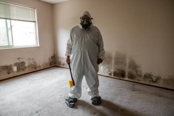 Biohazard Mold Removal in West Point, VA